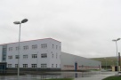 După eşecul Nokia, România pare să îşi fi învăţat lecţia. Finanţiştii solicită ajutoare de stat pentru marii investitori.