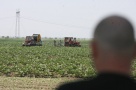 Străinii ne cumpără ţara la hectar: Cum s-a scumpit pământul românesc cu 40% în plină criză