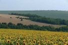 Terenurile agricole: o mină de aur, dar doar pentru cei care au răbdare