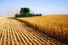 Investiţiile în agricultură, cele mai profitabile. Domeniul agricol este principalul motor al economiei.