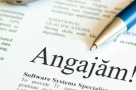 România caută manageri privaţi pentru companiile de stat. Mii de CV-uri au fost deja înscrise