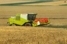 Un fond discret din Marea Britanie a ajuns să aibă în portofoliu 18.000 de hectare în Dolj şi Teleorman