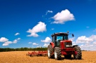 Terenurile agricole continuă să se scumpească, în timp ce interesul clienţilor creşte