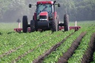 În agricultură, o idee bună aduce venituri triple