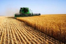 Afaceri agricole mai bănoase pentru fermierii dispuși să-și schimbe mentalitatea