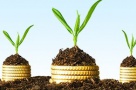 BCR - creditele beneficiarilor de subvenţii APIA pot fi acordate fără garanţii pentru sume de până la 300.000 lei