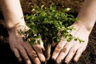 Suprapopularea Bucureștiului: afacere pentru investitori, dar o problemă pentru locuitori