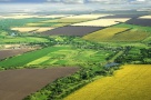 Despre abuz și monopol, pe piața terenurilor agricole. Cine face regulile jocului?