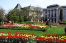 Cișmigiu: zonă de lux, cu prețuri de cartier muncitoresc