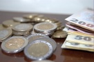 Înlocuirea leului cu euro: un scenariu privit cu prea mult optimism