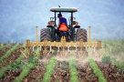 Terenurile agricole din România: aurul negru, epuizat rapid de străinii care cumpără en-gros