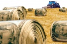 Agricultura românească: mina de aur care nu este exploatată, din lipsă de fonduri