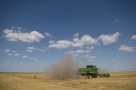 Românii îşi fac mai puţine firme de imobiliare şi mai multe de agricultură