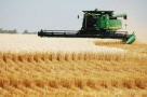 România, țara cu cel mai ieftin teren arabil din UE