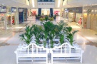 Retailerii internaţionali, vin, încă, în România