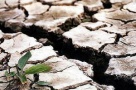 Seceta continua in tranzactii imobiliare. Nimeni nu stie cand isi va reveni piata