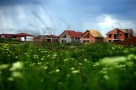 Cum să-ţi faci o casă de trei ori mai ieftină decât cele oferite de dezvoltatori