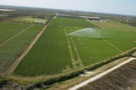 Nici terenurile agricole nu scapa de criza: achizitiile realizate de straini sunt la un sfert fata de anul trecut