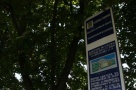 Tun imobiliar dupa modelul Astoria: Baza sportiva a SFT din nordul Capitalei va fi vanduta pentru o datorie ridicola