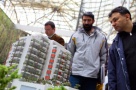 Peste 100 proiecte rezidentiale vor fi prezentate la a doua editie din aceasta toamna a targului tIMOn