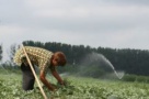 Hectarul de teren agricol ar putea ajunge la 10.000 de euro