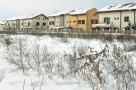Pipera, paradisul prăbuşit